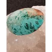 Chrysocolle